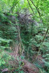 POI Wirten - Carrière et grotte du Châtelet - Photo 5