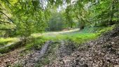 Punto di interesse Dampleux - Unnamed POI - Photo 11