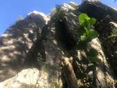 Point of interest Hotton - Notre coup de coeur: les Rochers de Renissart - Photo 1