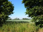 Punto di interesse Mont-Saint-Guibert - Vue ouest dans le Chemin Tollet - Photo 1