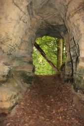 Punto di interesse Virton - Carrière et grotte du Châtelet - Photo 15
