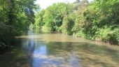 POI Saint-Georges-de-Luzençon - traversée du Cernon sur pont bas puis du chemin de - Photo 2