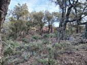 Punto di interesse Roquebrune-sur-Argens - Unnamed POI - Photo 1