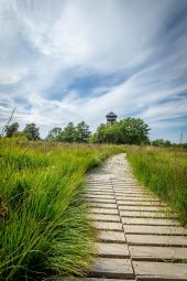 Point of interest Spa - Panoramic tower - Photo 3