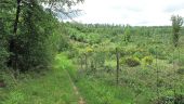 Point d'intérêt Saint-Crépin-aux-Bois - Point 23 - Photo 18