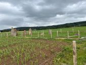Punto di interesse Durbuy - La Longue Pierre - 2 - Photo 1