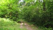 Point of interest Oigny-en-Valois - Unnamed POI - Photo 6