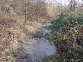 Point d'intérêt Ham-sur-Heure-Nalinnes - grosses flaques d'eau - Photo 1