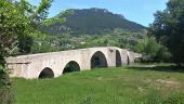 Point d'intérêt Gorges du Tarn Causses - Pont de Quézac - Photo 5