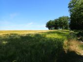 Punto di interesse Chaumont-Gistoux - Vue nord dans le sentier n° 39 - Photo 1