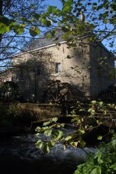 Point of interest Hotton - Musée Moulin Faber - Photo 2