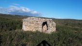 Point d'intérêt Aumelas - Capitelle en ruine - Photo 1