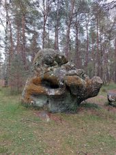 POI Fontainebleau - 6N - Cerbère du Désert - Photo 1