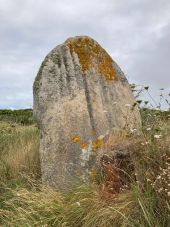 Point d'intérêt Trébeurden - Menhir de qu’arcs - Photo 1