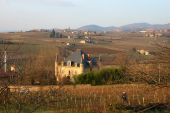 Point d'intérêt Val d'Oingt - Château et pigeonnier La Forest - Saint-Laurent d'Oingt - Photo 1