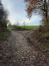 Point d'intérêt Villers-la-Ville - Vers Tri Coquia 1 - Photo 1