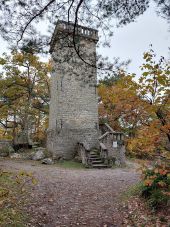 Point d'intérêt Samois-sur-Seine - Tour de Samois - Photo 1