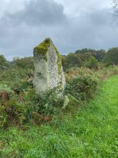 Point d'intérêt Saint-Priest-la-Feuille - Menhir  - Photo 1