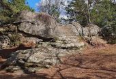 Point d'intérêt Fontainebleau - cachalot ou saurien ? - Photo 1
