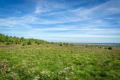 Point d'intérêt Waimes - Les Hautes-Fagnes - Photo 1