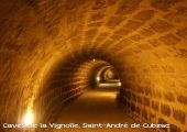 Point d'intérêt Saint-André-de-Cubzac - Caves La Vignole - Photo 2