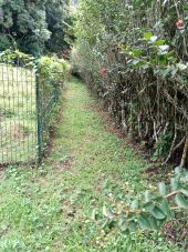 Point d'intérêt Gourbeyre - clôture poulailler  - Photo 1