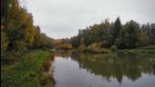 Point d'intérêt Étalle - Etang de Gantaufet - Photo 3