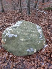 Point d'intérêt Fontainebleau - Roche Decamps - Photo 1