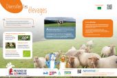 Point d'intérêt Vielsalm - Diversifier les élevages - Photo 1