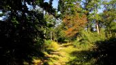 Punto de interés Saint-Crépin-aux-Bois - Point 19 - Photo 8