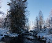 POI Waimes - Le pont Anna Marie Libert - Photo 1