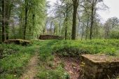 Punto de interés Étalle - Site gallo-romain et cron de Montauban - Photo 2