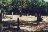 Point of interest Les Arcs-sur-Argens - dolmens-les arcs - Photo 1