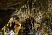 Point d'intérêt Rochefort - La Grotte de Han - Photo 3