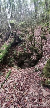 Point d'intérêt Pasques - Source-Combe-Vaux-de-Roche - Photo 2