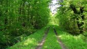 Point d'intérêt Saint-Léger-aux-Bois - Point 21 - Photo 2