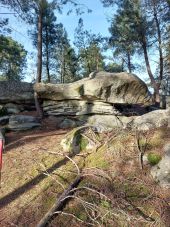 POI Fontainebleau - Unnamed POI - Photo 1