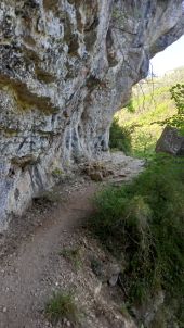 POI Massegros Causses Gorges - Sentier en balcon  - Photo 5