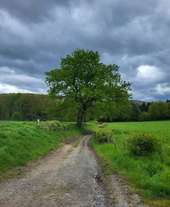 POI Durbuy - Unnamed POI - Photo 1