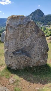 Point d'intérêt Borée - Le-Tchier-de-Borée - Photo 2