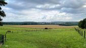 Point of interest Oigny-en-Valois - Point 1 - Photo 2