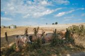 Point d'intérêt Meix-devant-Virton - La Ferme de Rosière à Houdrigny - Photo 9