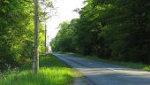 Punto de interés Saint-Léger-aux-Bois - Point 3 - Photo 20