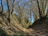 Point d'intérêt Briennon - Chemin encaissé - Photo 1