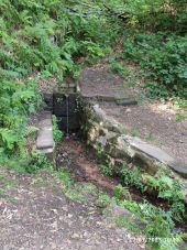 Point d'intérêt Lutzelbourg - Fontaine Mélusine  - Photo 1