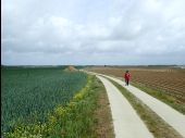 Punto de interés Genappe - Vue nord dans le Chemin de la Longresse Haye - Photo 1