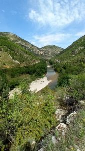 Punto de interés Gorges du Tarn Causses - point-de-vue - Photo 1