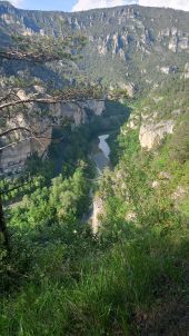 Point d'intérêt Massegros Causses Gorges - point de vue  - Photo 2