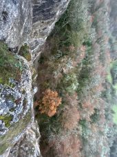 Point of interest Cormot-Vauchignon - Dessus bivouac - Photo 1