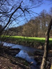 Punto di interesse Villers-la-Ville - Vue sur la Thyle - Photo 1